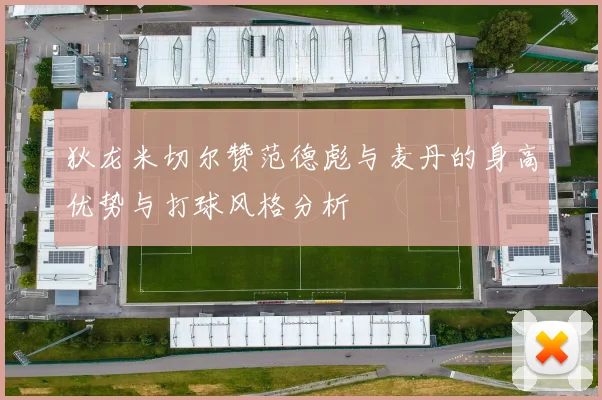 狄龙米切尔赞范德彪与麦丹的身高优势与打球风格分析