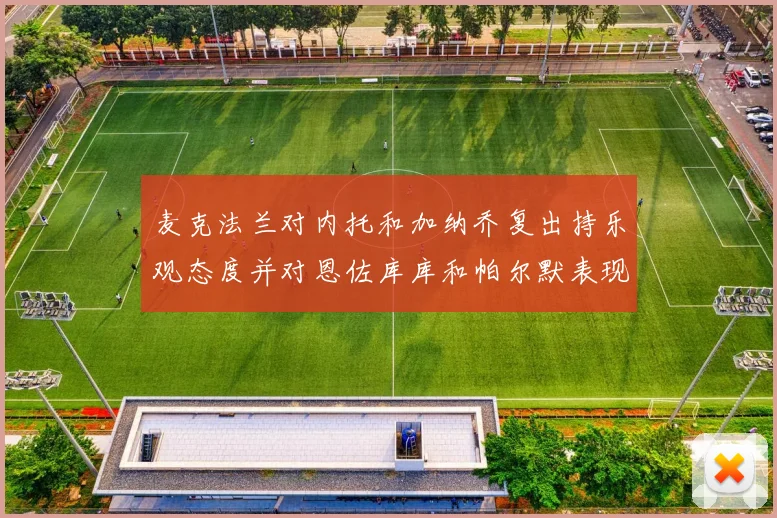 麦克法兰对内托和加纳乔复出持乐观态度并对恩佐库库和帕尔默表现表示满意