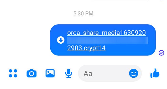 如信使应用程序所示发送文件