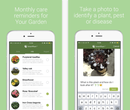 Aplikacja do identyfikacji kwiatów - SmartPlant
