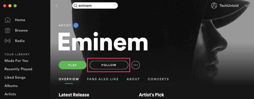 Siga artistas no Spotify