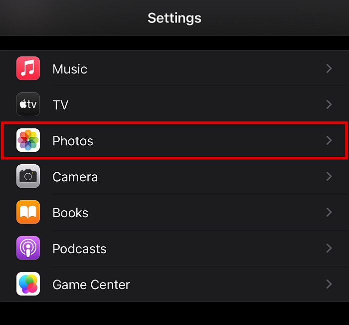 突出顯示照片選項的 iPhone 設置