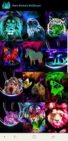 Neon dieren behang