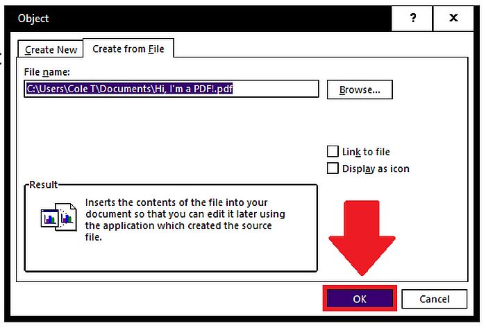 Confirmación para insertar un archivo PDF en un documento de Word como un objeto