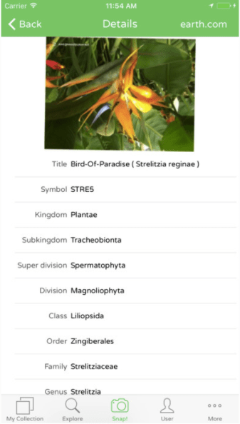 Aplikacja PlantSnap