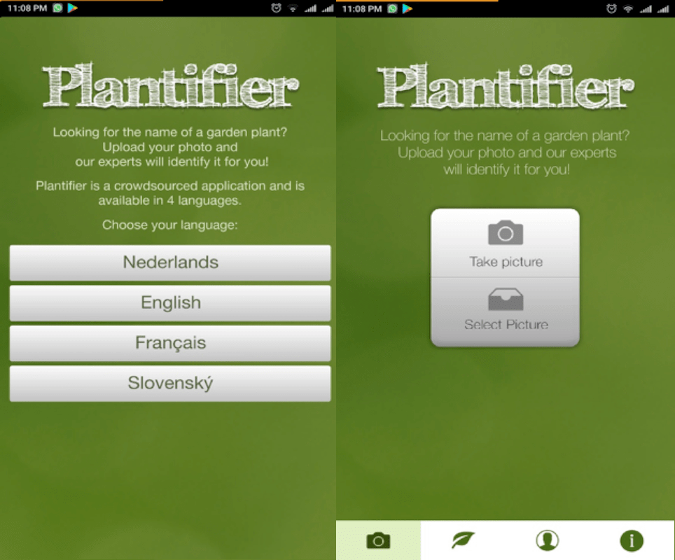 Application Plantifier pour identifier les plantes