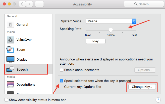 Texto a voz en MacBook