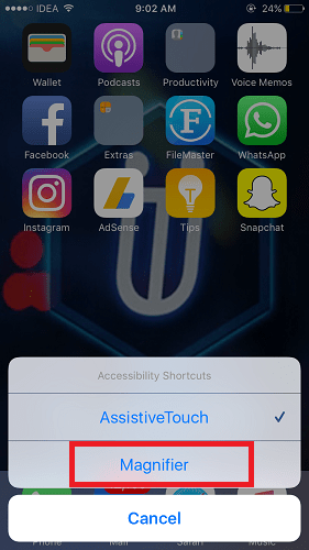 Lupa iOS 10