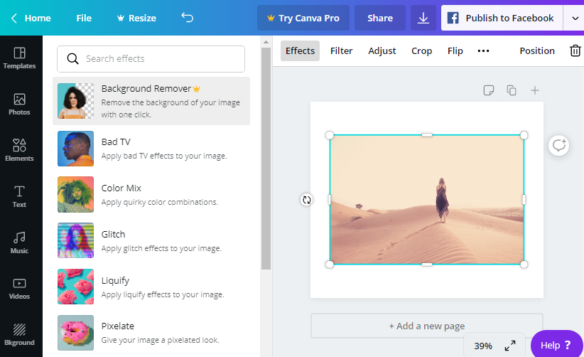 canva_is_a_free_PicMonkey_Alternative_Tool