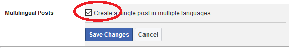 como postar em vários idiomas no Facebook - post multilíngue profile-min