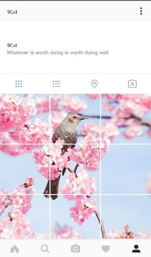 como poner fotos en mosaico en instagram - 9 CUT