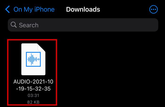 iPhone