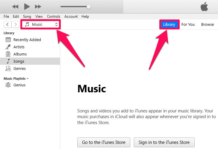 Musica e libreria di iTunes