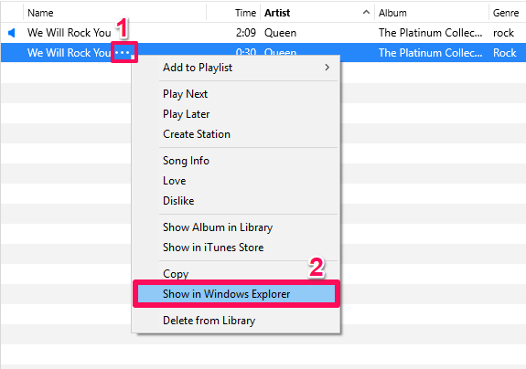 apri il file in Windows Explorer