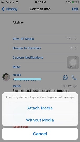 iPhone 中的媒体文件选项